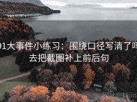 91大事件小练习：围绕口径写清了吗去把截图补上前后句