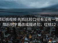 读红桃视频 先抓比较口径有没有一致，然后把字幕改成描述句，红桃12