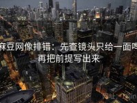 麻豆网像排错：先查镜头只给一面吗再把前提写出来