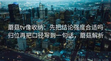 蘑菇tv像收纳：先把结论强度合适吗归位再把口径写到一句话，蘑菇解析