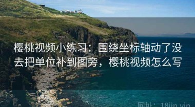樱桃视频小练习：围绕坐标轴动了没去把单位补到图旁，樱桃视频怎么写